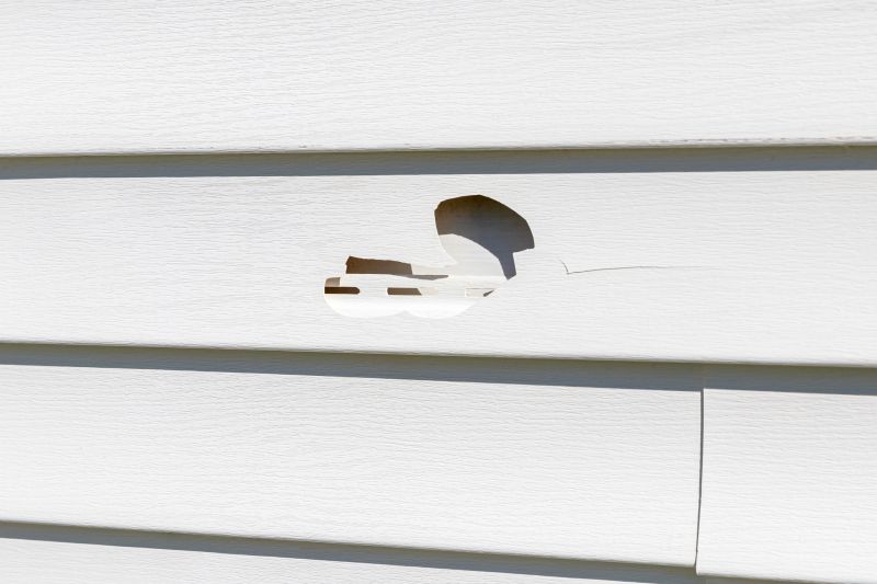 Vinyl Siding Repair Expert Image 2