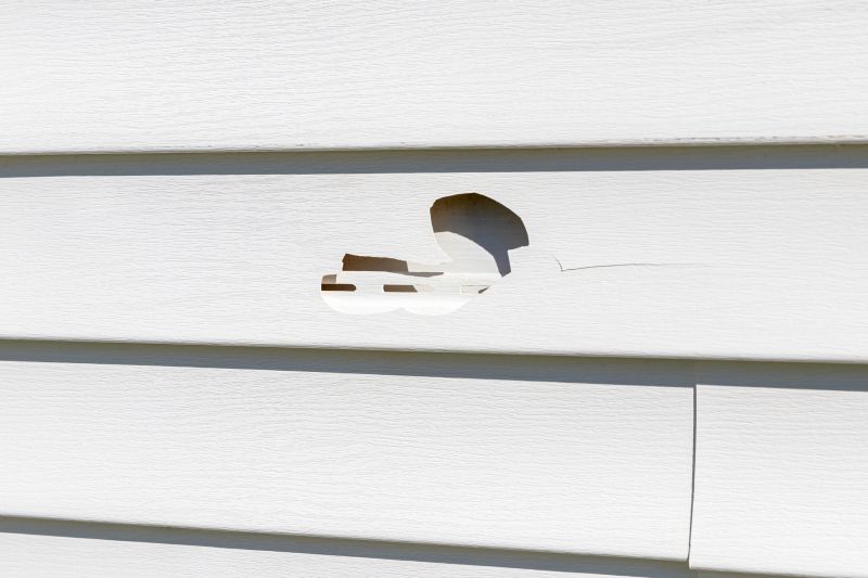 Vinyl Siding Repair Service Image 3